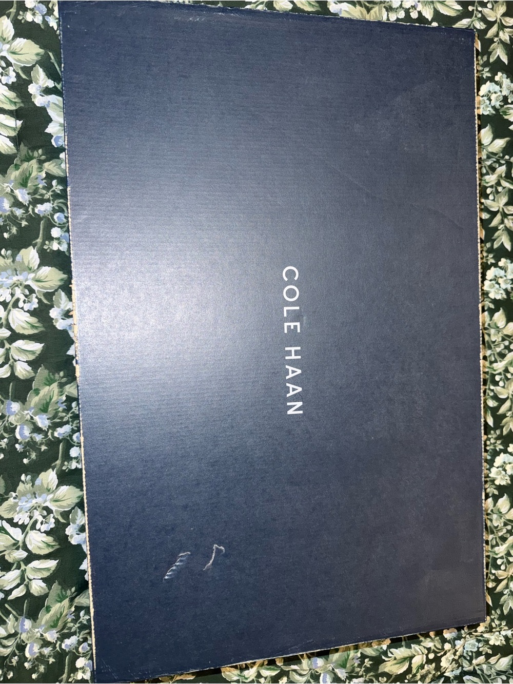 Cole Haan Calgary women’s over the knee boots 🤍
